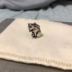 Cat charm